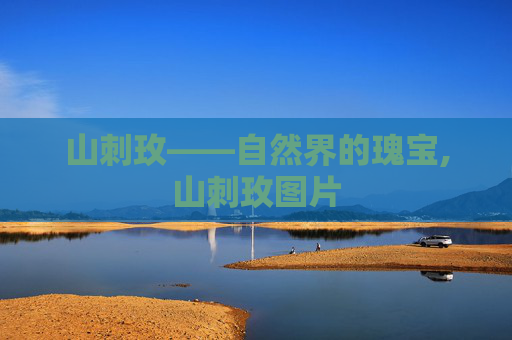 山刺玫——自然界的瑰宝,山刺玫图片