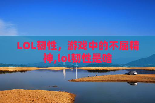 LOL韧性，游戏中的不屈精神,lol韧性是啥