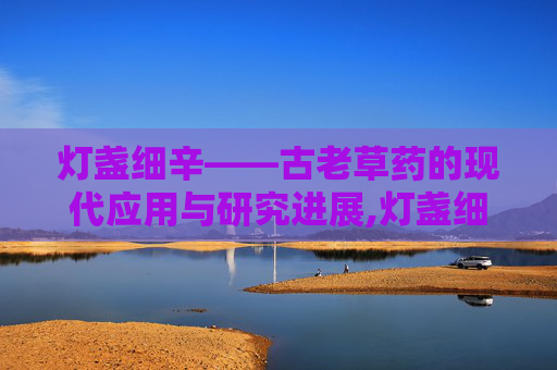 灯盏细辛——古老草药的现代应用与研究进展,灯盏细辛的功效与作用