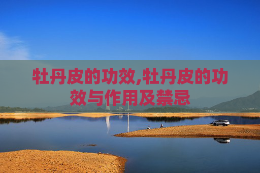 牡丹皮的功效,牡丹皮的功效与作用及禁忌