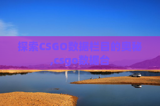 探索CSGO数据栏目的奥秘,csgo数据台