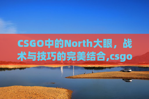 CSGO中的North大眼，战术与技巧的完美结合,csgo 大眼睛