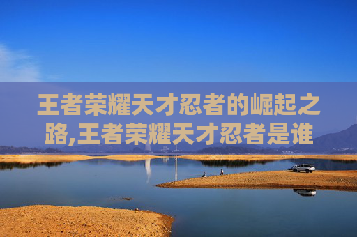 王者荣耀天才忍者的崛起之路,王者荣耀天才忍者是谁