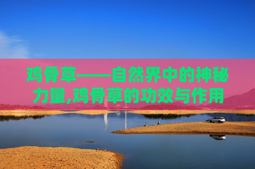 鸡骨草——自然界中的神秘力量,鸡骨草的功效与作用