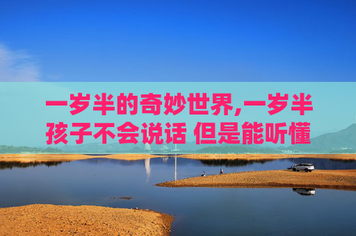 一岁半的奇妙世界,一岁半孩子不会说话 但是能听懂是什么原因