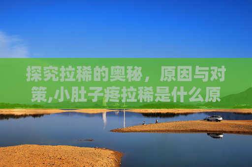 探究拉稀的奥秘，原因与对策,小肚子疼拉稀是什么原因引起的