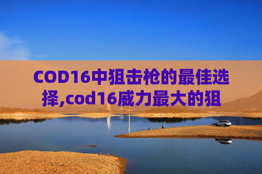 COD16中狙击枪的最佳选择,cod16威力最大的狙