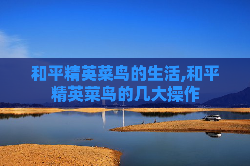 和平精英菜鸟的生活,和平精英菜鸟的几大操作