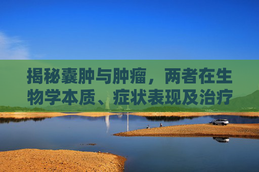 揭秘囊肿与肿瘤，两者在生物学本质、症状表现及治疗方式上的根本区别,囊肿和肿瘤的区别图片