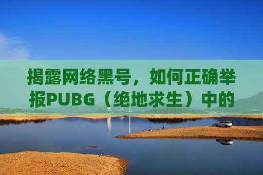 揭露网络黑号，如何正确举报PUBG（绝地求生）中的非法账号,pubglite黑号