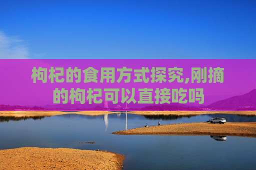 枸杞的食用方式探究,刚摘的枸杞可以直接吃吗