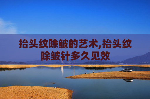 抬头纹除皱的艺术,抬头纹除皱针多久见效