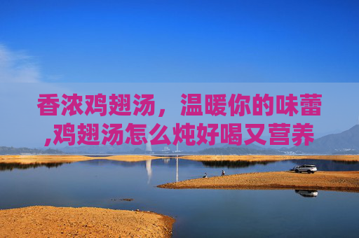 香浓鸡翅汤，温暖你的味蕾,鸡翅汤怎么炖好喝又营养