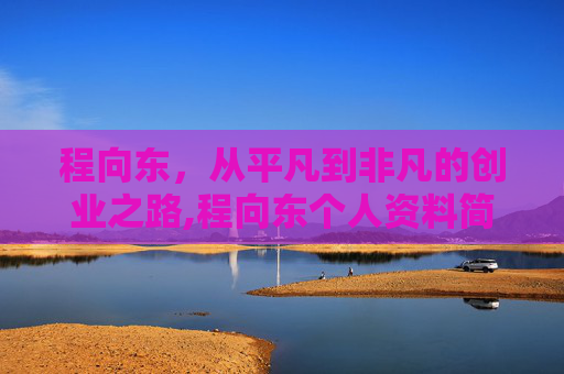 程向东，从平凡到非凡的创业之路,程向东个人资料简介