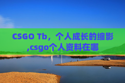 CSGO Tb，个人成长的缩影,csgo个人资料在哪