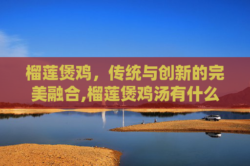 榴莲煲鸡，传统与创新的完美融合,榴莲煲鸡汤有什么功效与作用