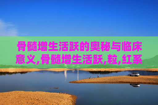 骨髓增生活跃的奥秘与临床意义,骨髓增生活跃,粒,红系增生活跃