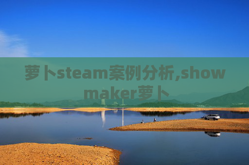 萝卜steam案例分析,show maker萝卜