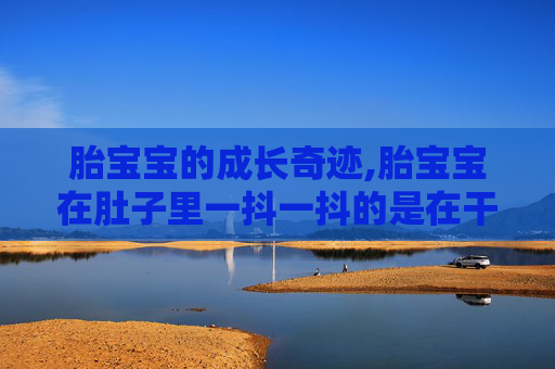 胎宝宝的成长奇迹,胎宝宝在肚子里一抖一抖的是在干嘛