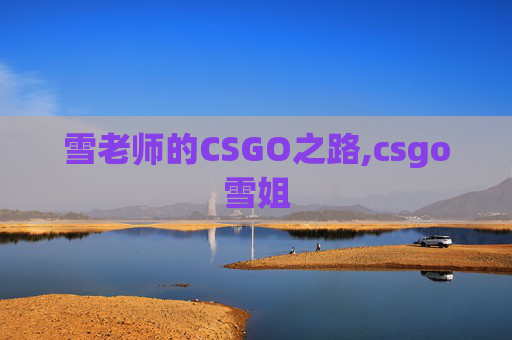 雪老师的CSGO之路,csgo雪姐