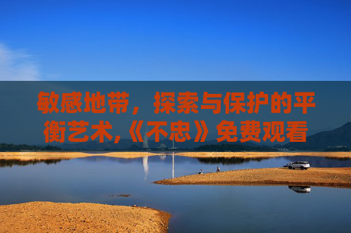 敏感地带，探索与保护的平衡艺术,《不忠》免费观看完整版电影