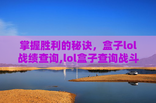 掌握胜利的秘诀，盒子lol战绩查询,lol盒子查询战斗力