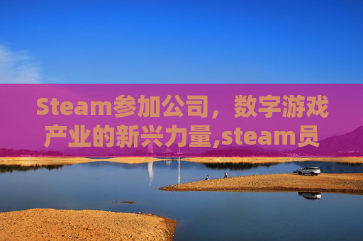 Steam参加公司，数字游戏产业的新兴力量,steam员工