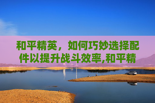 和平精英，如何巧妙选择配件以提升战斗效率,和平精英各种配件如何选择的