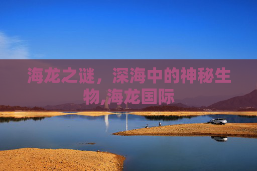 海龙之谜，深海中的神秘生物,海龙国际