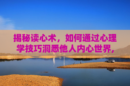 揭秘读心术，如何通过心理学技巧洞悉他人内心世界,教你读心术书籍