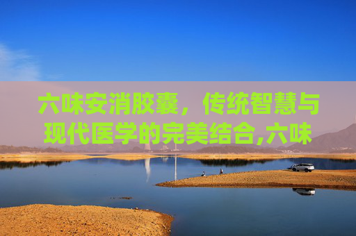 六味安消胶囊，传统智慧与现代医学的完美结合,六味安消胶囊成分