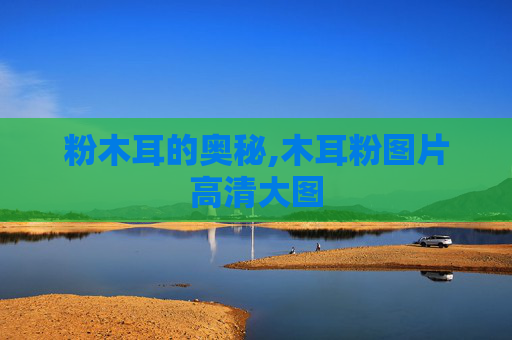 粉木耳的奥秘,木耳粉图片高清大图