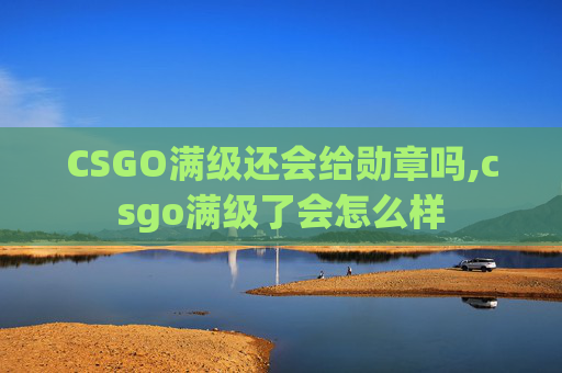 CSGO满级还会给勋章吗,csgo满级了会怎么样