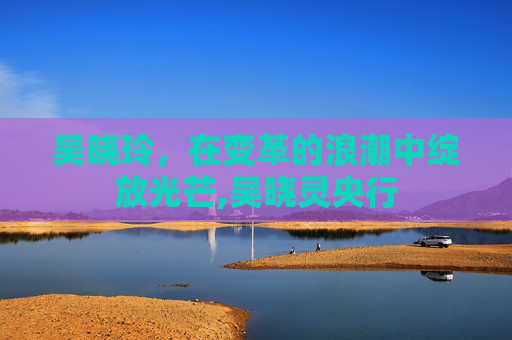 吴晓玲，在变革的浪潮中绽放光芒,吴晓灵央行