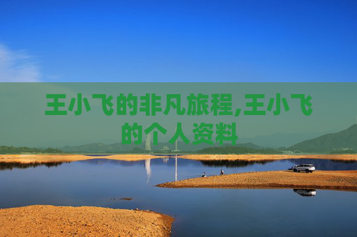 王小飞的非凡旅程,王小飞的个人资料