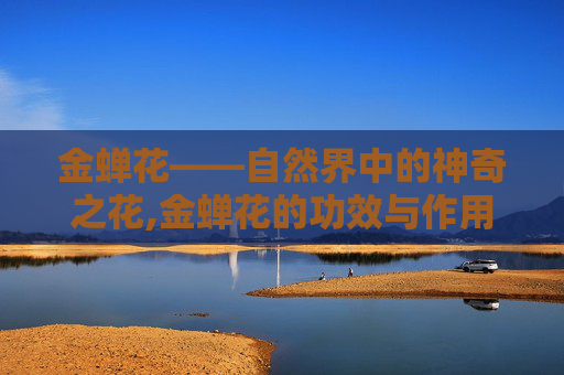 金蝉花——自然界中的神奇之花,金蝉花的功效与作用的功能与主治