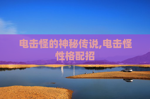 电击怪的神秘传说,电击怪性格配招