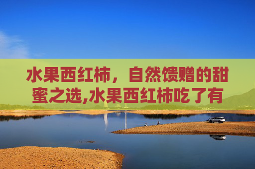 水果西红柿,自然馈赠的甜蜜之选,水果西红柿吃了有什么好处 水果西红柿,自然馈赠的甜蜜之选,水果西红柿吃了有什么好处