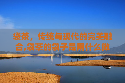 袋茶，传统与现代的完美融合,袋茶的袋子是用什么做的