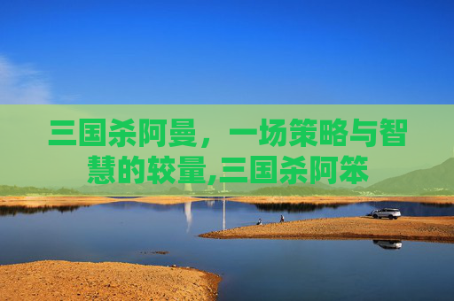 三国杀阿曼，一场策略与智慧的较量,三国杀阿笨