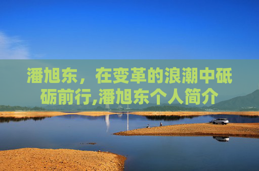 潘旭东，在变革的浪潮中砥砺前行,潘旭东个人简介