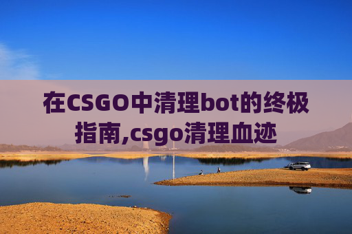 在CSGO中清理bot的终极指南,csgo清理血迹