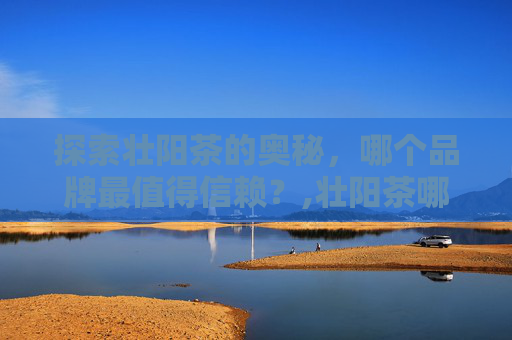 探索壮阳茶的奥秘，哪个品牌最值得信赖？,壮阳茶哪个最好喝