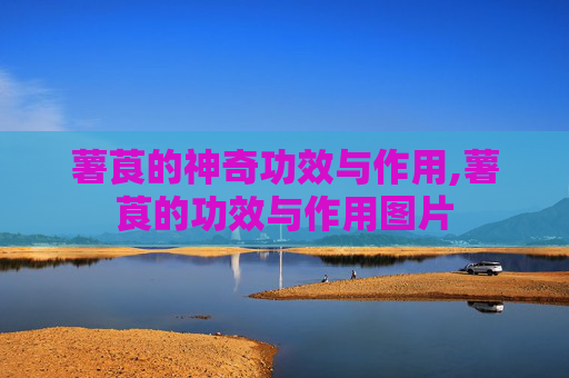 薯莨的神奇功效与作用,薯莨的功效与作用图片