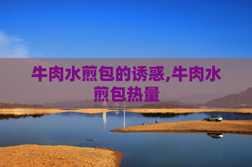 牛肉水煎包的诱惑,牛肉水煎包热量