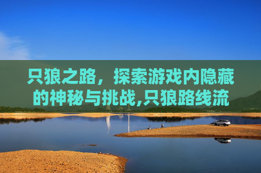 只狼之路，探索游戏内隐藏的神秘与挑战,只狼路线流程图文详解