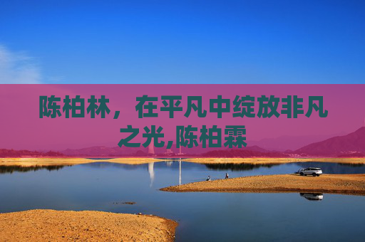 陈柏林，在平凡中绽放非凡之光,陈柏霖