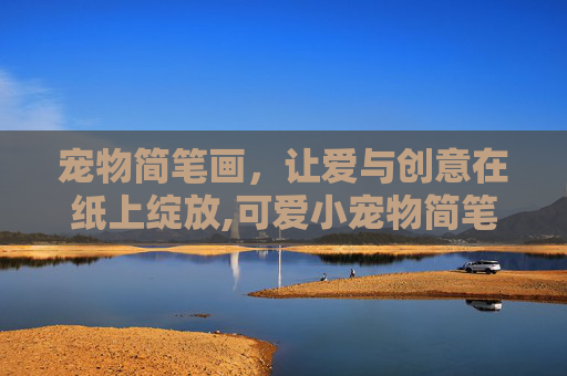 宠物简笔画，让爱与创意在纸上绽放,可爱小宠物简笔画