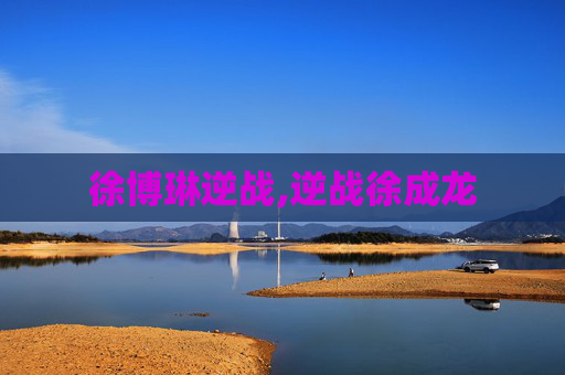 徐博琳逆战,逆战徐成龙
