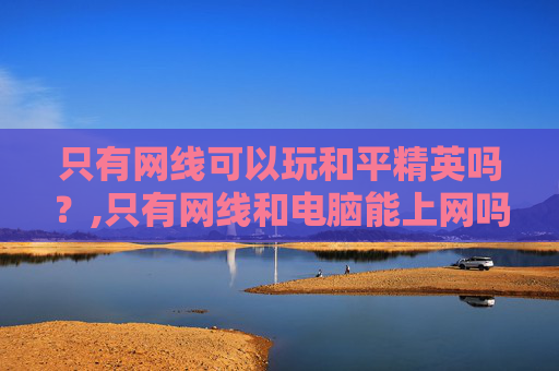 只有网线可以玩和平精英吗？,只有网线和电脑能上网吗